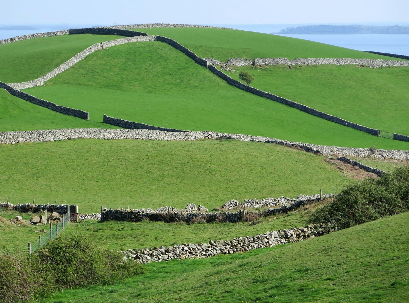 Stone walls crossing green fields in the Irish countryside